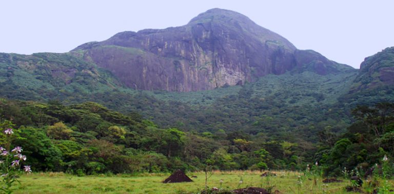 agasthyakoodam