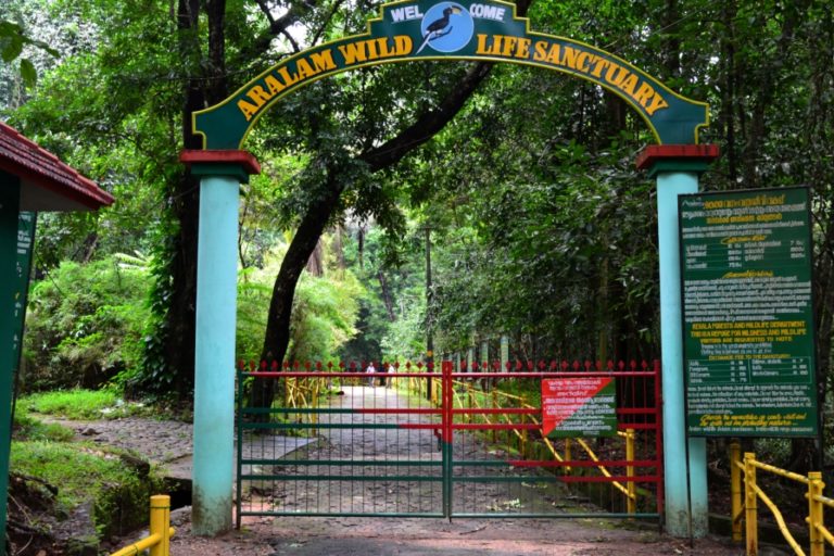 കാടു കാണാം ആറളം പോകാം കാടു കാണാം ആറളം പോകാം