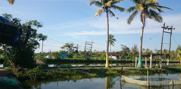 fish-farm-ftrd