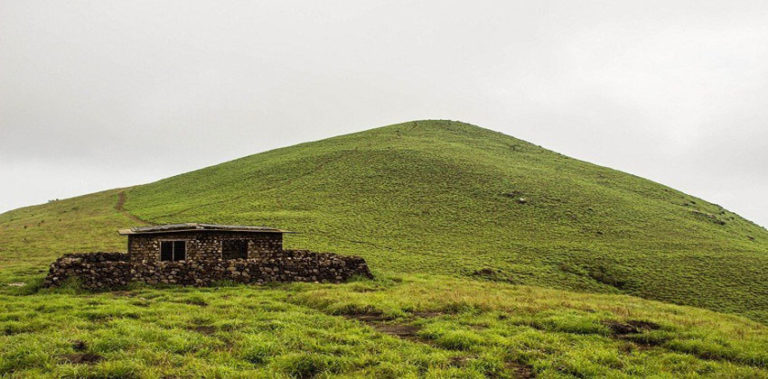 റാണിപുരത്ത് ട്രെക്കിങ് തുടങ്ങി ranipuram-ftrd