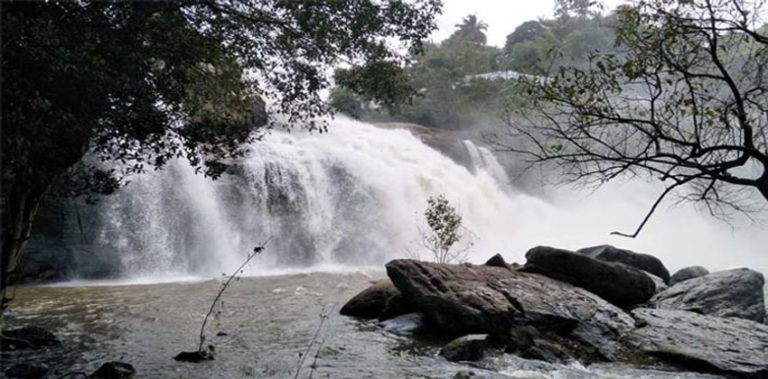 chamayamakkal-ftrd