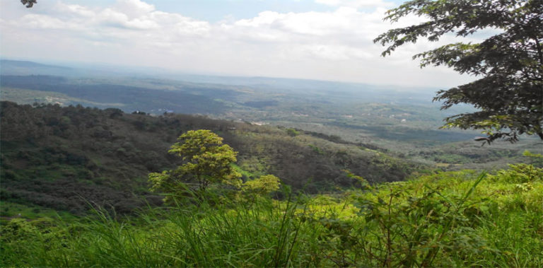 കൊടികുത്തിമല പച്ചപ്പിന്റെ താഴ്വാരം kodikuthimala-ftrd