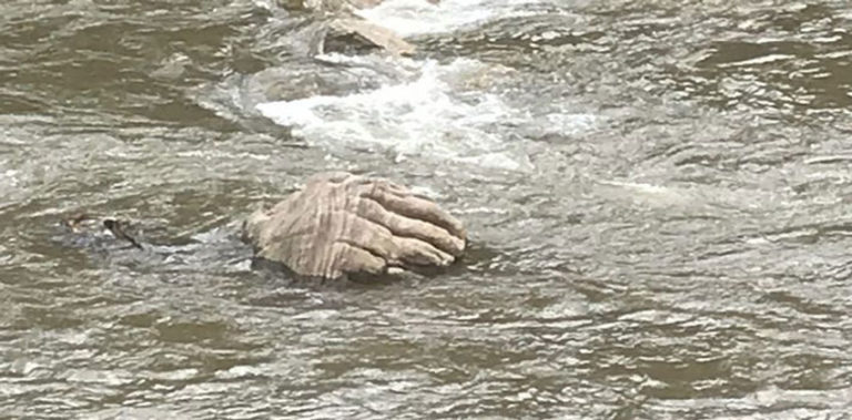 മുതിരപ്പുഴയില് ജലമിറങ്ങിയപ്പോള് കണ്ട കൗതുകക്കാഴ്ച്ച muthirampuzha--ftrd