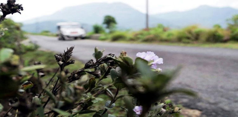 munnar-road-ftrd