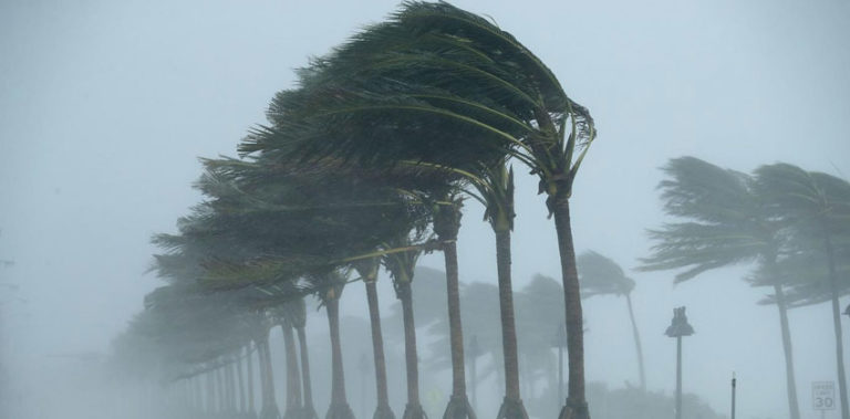 Cyclone Gaja alert sounded in Tamil Nadu, Andhra and Puducherry cyclone