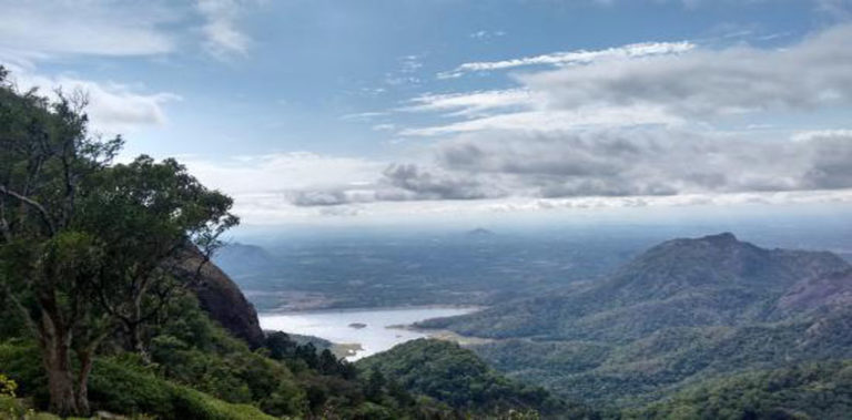 നെല്ലിയാമ്പതി സുരക്ഷിതം; സഞ്ചാരികള്ക്ക് സ്വാഗതമരുളി മലനിരകള് nelliyampathy-ftrd