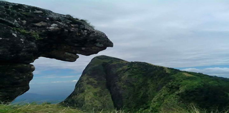 meesapulimala