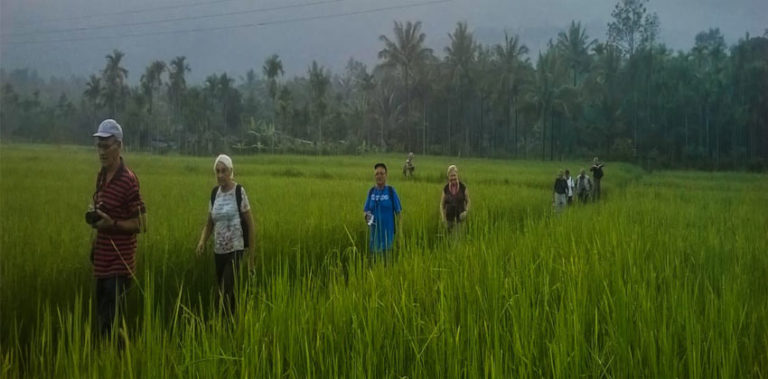 ഉത്തരമലബാറിലെ ആദ്യ ജനകീയ ടൂറിസം പദ്ധതിക്ക് തുടക്കമായി farm-tourism-ftrd