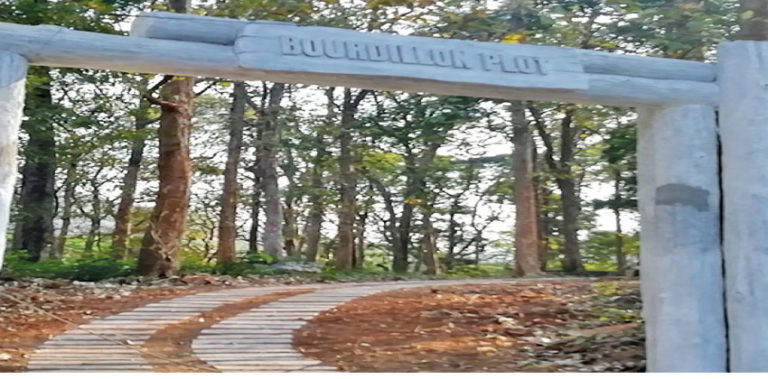 ബോഡിലോണ് തേക്കിന്തോട്ടത്തിന് കവാടമൊരുക്കി പാലരുവി ഇക്കോ ടൂറിസം വകുപ്പ് Untitled-1