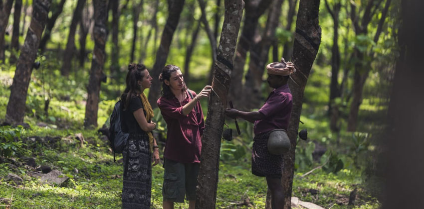 Enjoy ultimate farming experience at Thejaswini Eco Farm in Cherupuzha ...