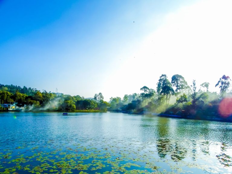 Yercaud, a perfect weekend getaway for nature lovers - Tourism News Live