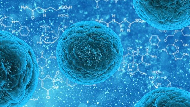 corona virus