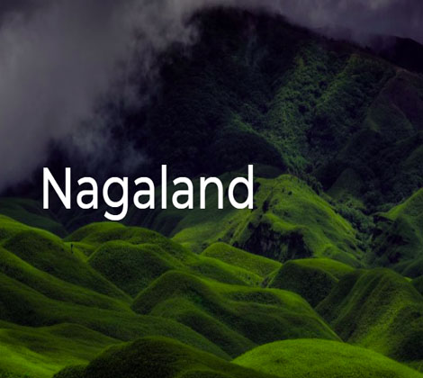 kohima nagaland