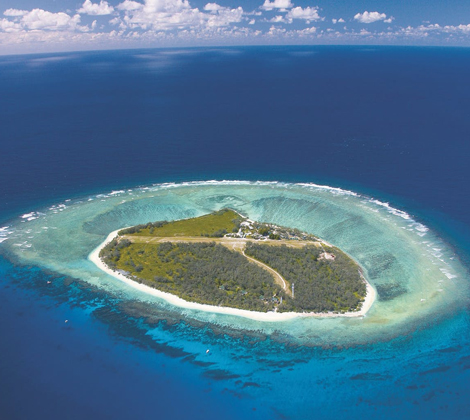 Lady Elliot Island, Southern Great Barrier Reef australia
