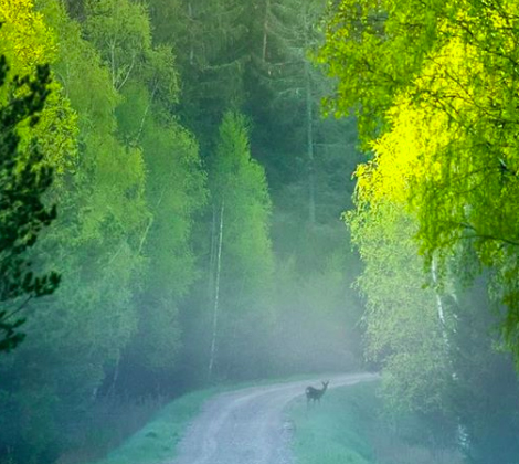 latvia tourism