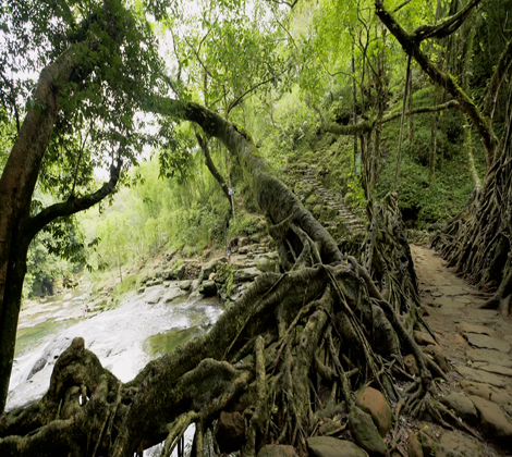 shillong meghalaya