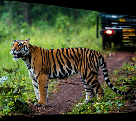 Madhya pradesh tourism
