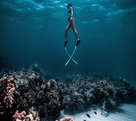 hawaii tourism