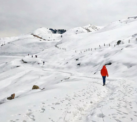 himachal pradesh