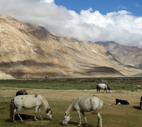 himachal pradesh