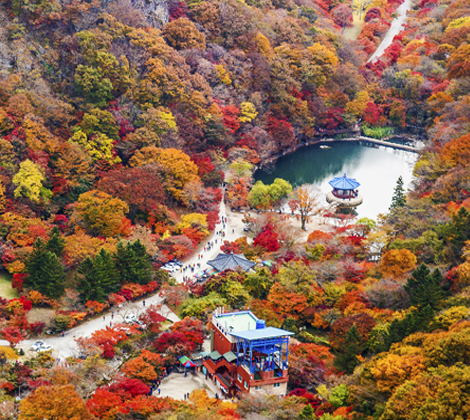 naejangsan mountain south korea