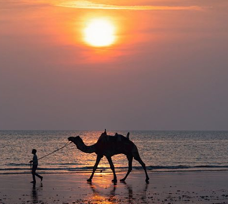 saurashtra gujarat