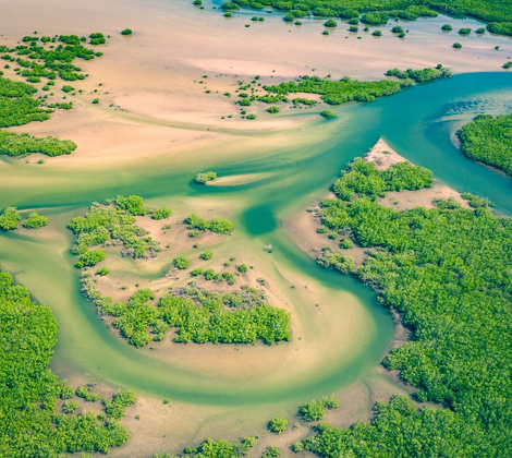 senegal tourism