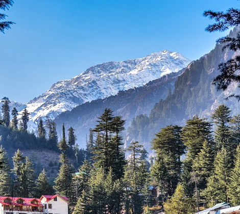 himachal pradesh