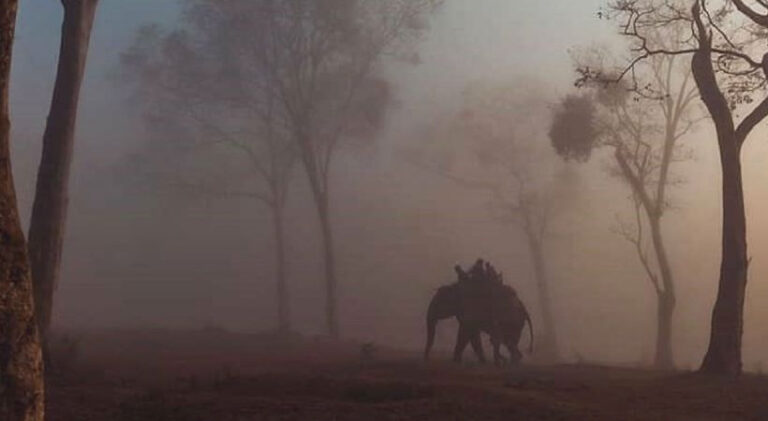 bandipur forest karnataka