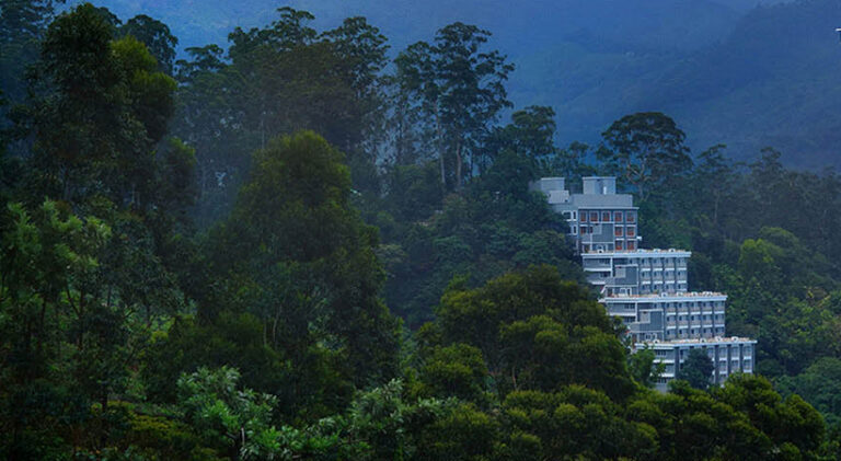 chandys woods resort munnar
