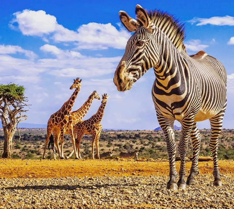 kenya tourism wild