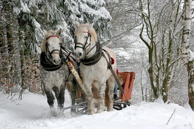 The top 7 winter holiday destinations in Poland preferred by Indian Tourists sleigh-ride-549727_640
