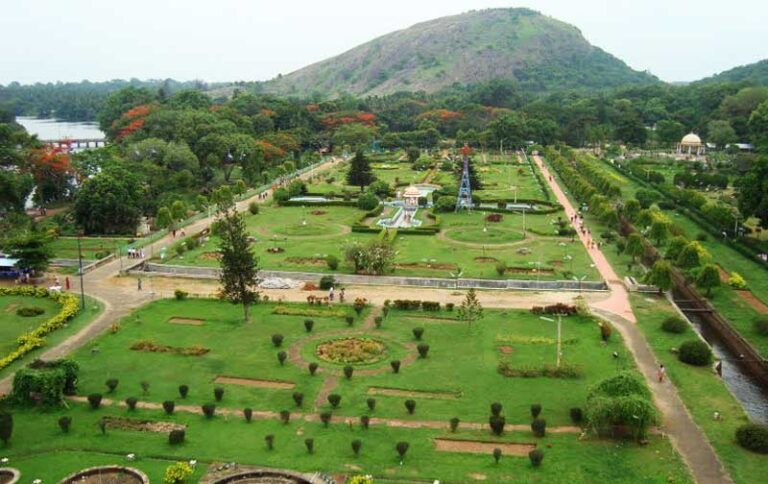 There is no other garden in Kerala that is maintained so professionally q2