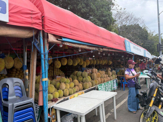 Post-Tour Reflections: Davao City’s Living Tapestry of Nature, Culture, and Community