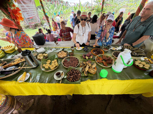 Post-Tour Reflections: Davao City’s Living Tapestry of Nature, Culture, and Community