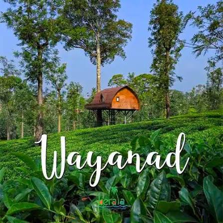 Brand Wayanad
